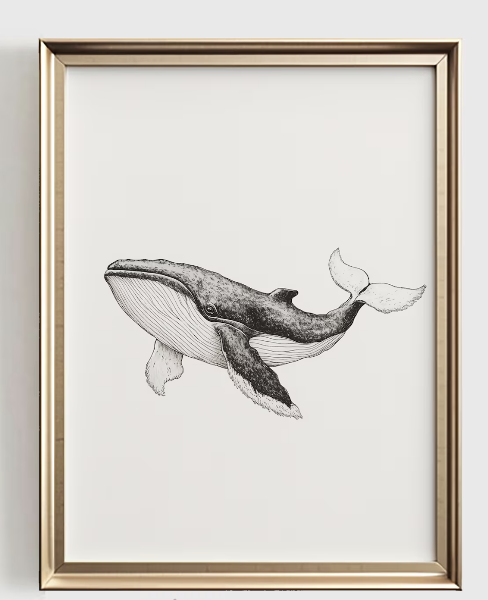 Baby Nursery Art - ภาพพิมพ์ลายเส้นวาฬ, ของตกแต่งห้องเด็กสไตล์มินิมอล, ภาพศิลปะขาวดำสำหรับห้องเด็ก, ของขวัญงานศิลปะพิมพ์ลายสำหรับห้องเด็กสไตล์ชายฝั่งโทนสีกลางๆ