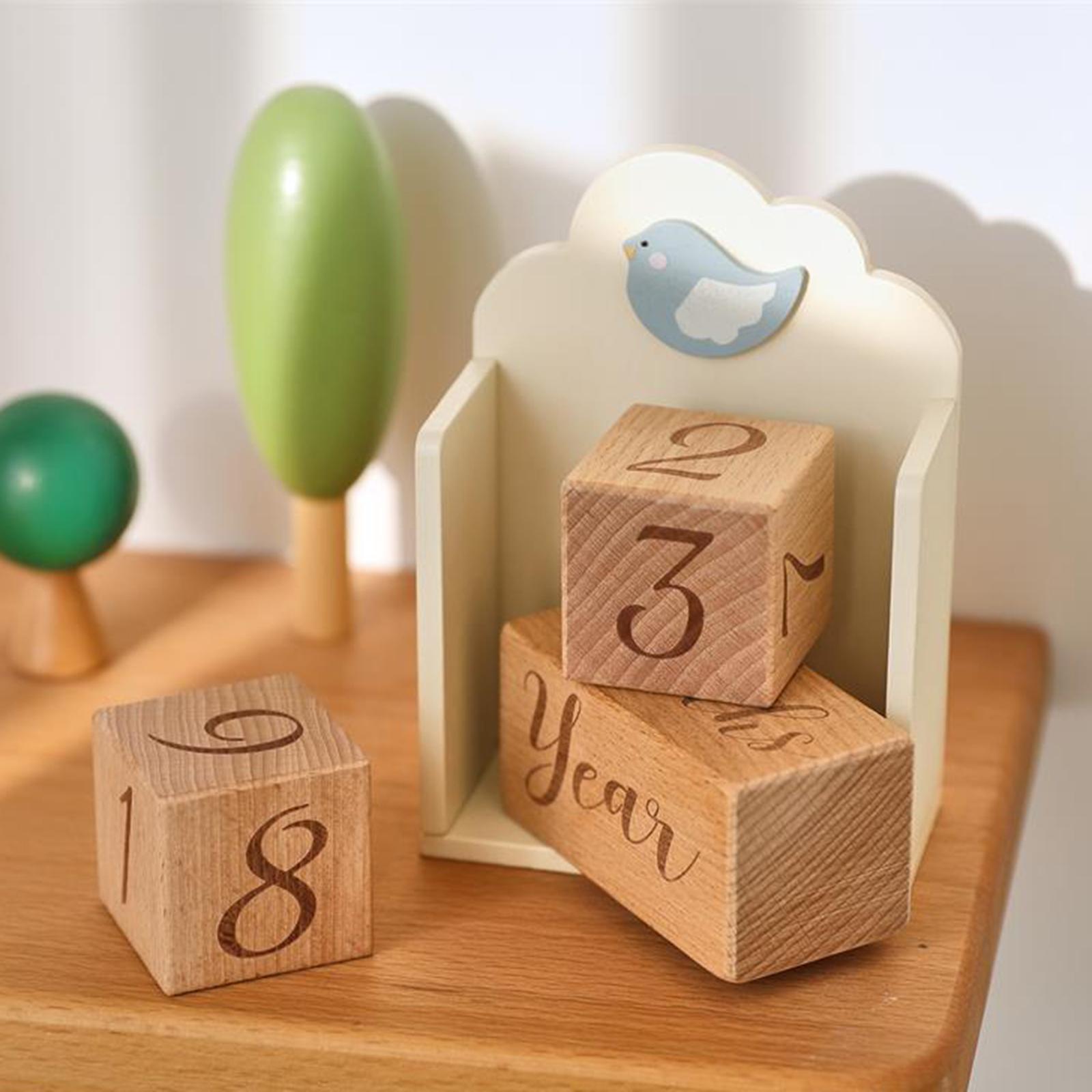 บล็อกไม้บอกอายุเด็ก ดีไซน์ไม่ซ - Baby Nursery Age บทวิจารณ์และราคา