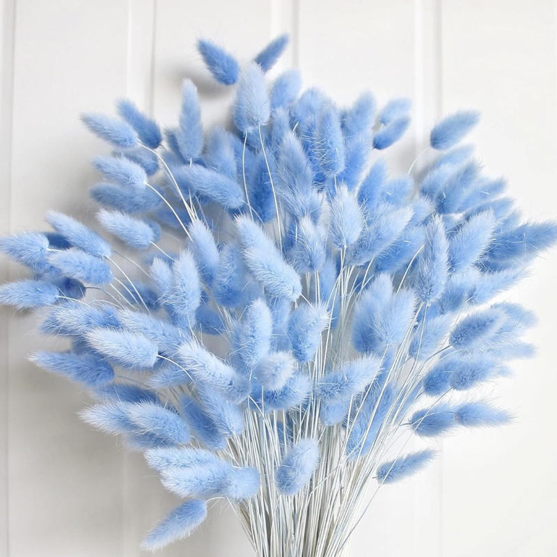 100PCS Blue Hare's-tail หญ้ากร - Baby Nursery Ornaments บทวิจารณ์และราคา